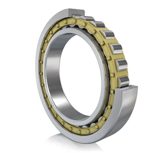 Disponib nu 340- e-M1A-C3 Single-Row Cylindrical roulo BEARINGS
